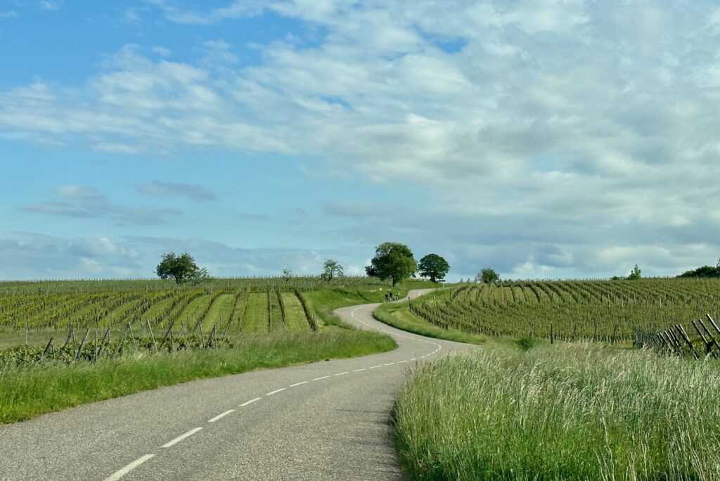 Route des Vins d'Alsace, Andlau